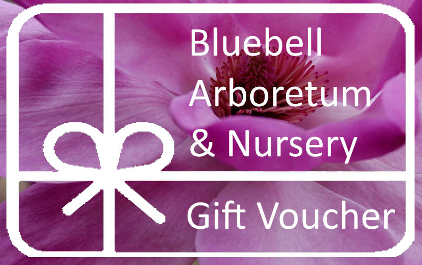 visit our nursery and woodland gardens